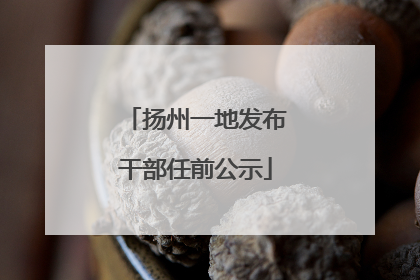 扬州一地发布干部任前公示